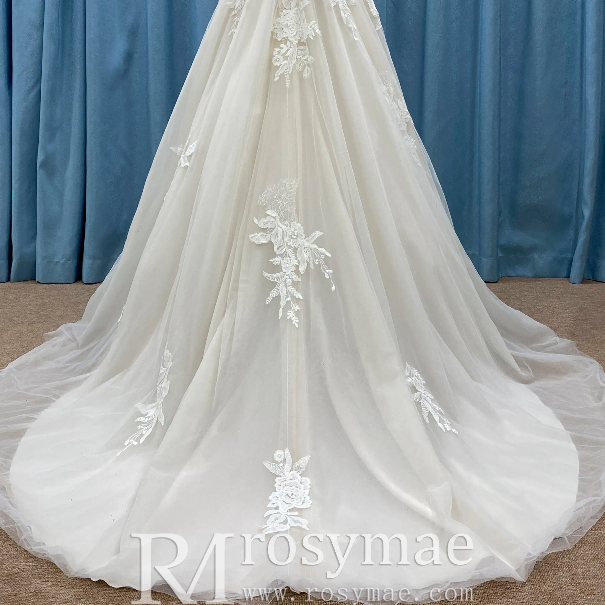 Trendy A-line Tulle Lace Vneck Wedding Dresses with Tank Top