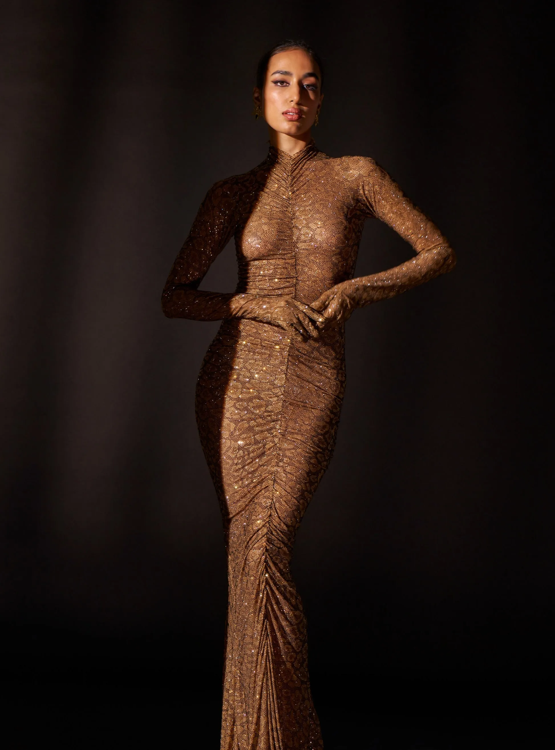 Wild cat brown gown