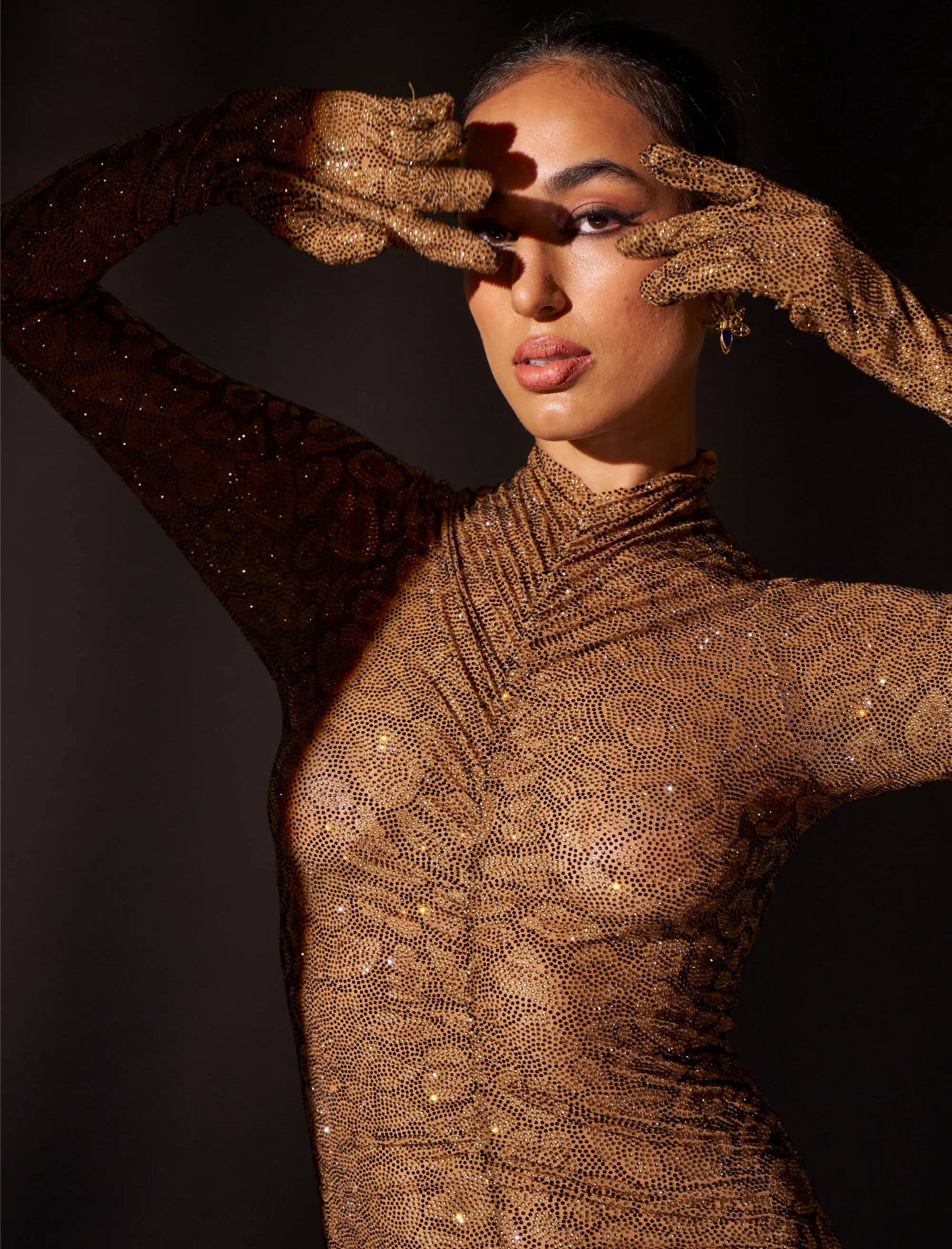 Wild cat brown gown