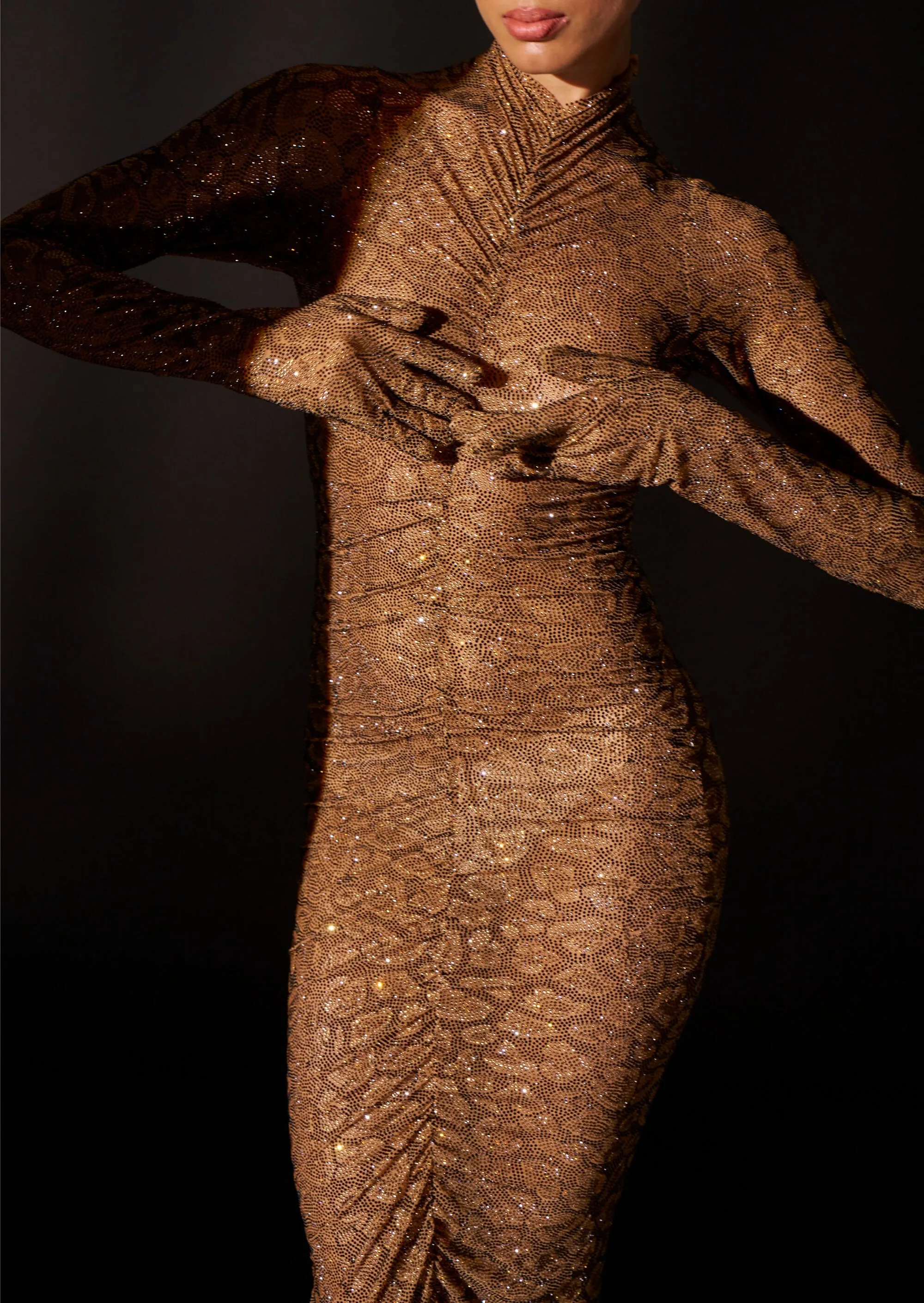 Wild cat brown gown