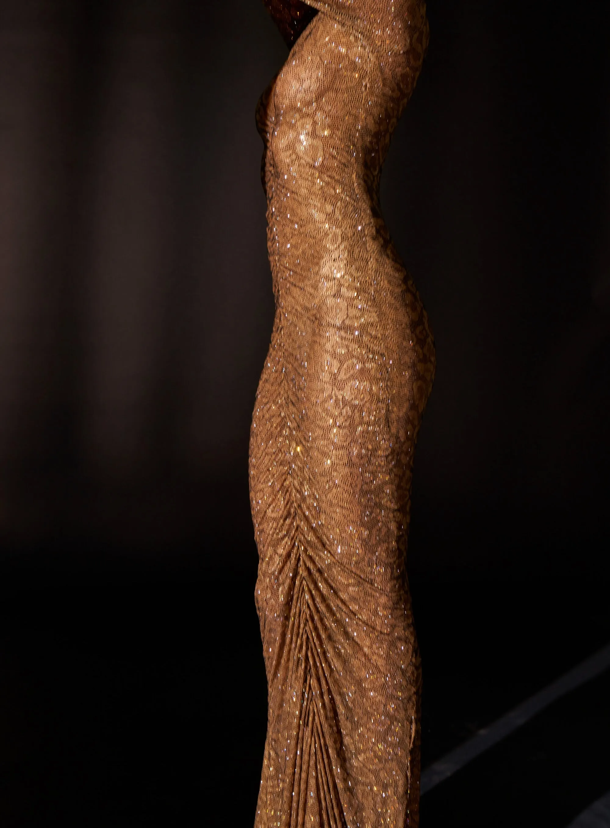 Wild cat brown gown