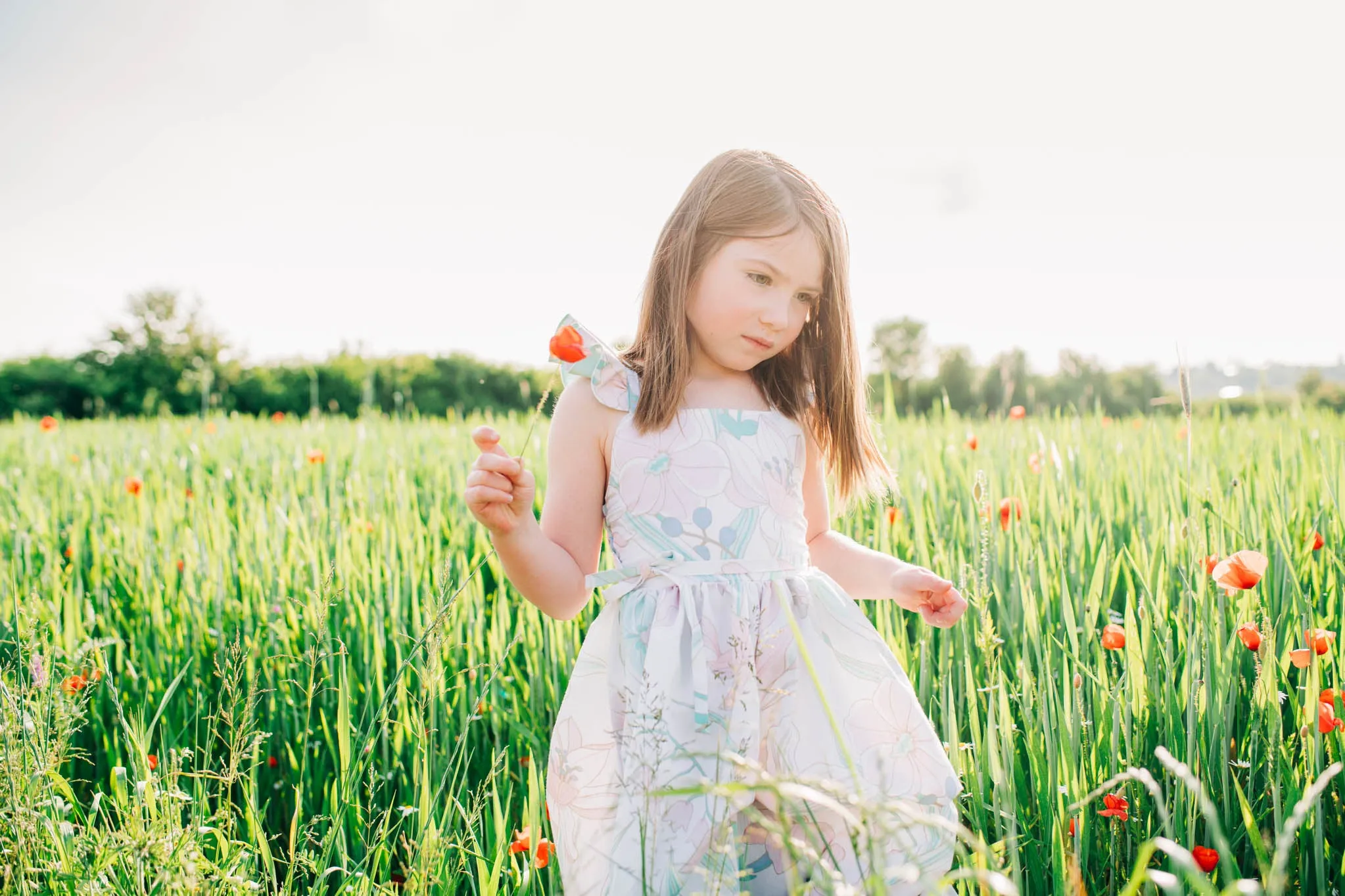 Wisteria Top & Dress