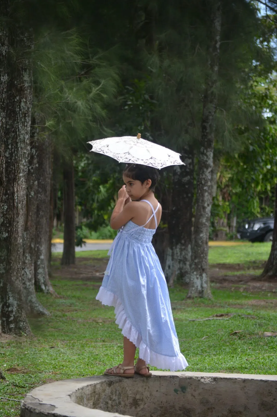 Wisteria Top & Dress