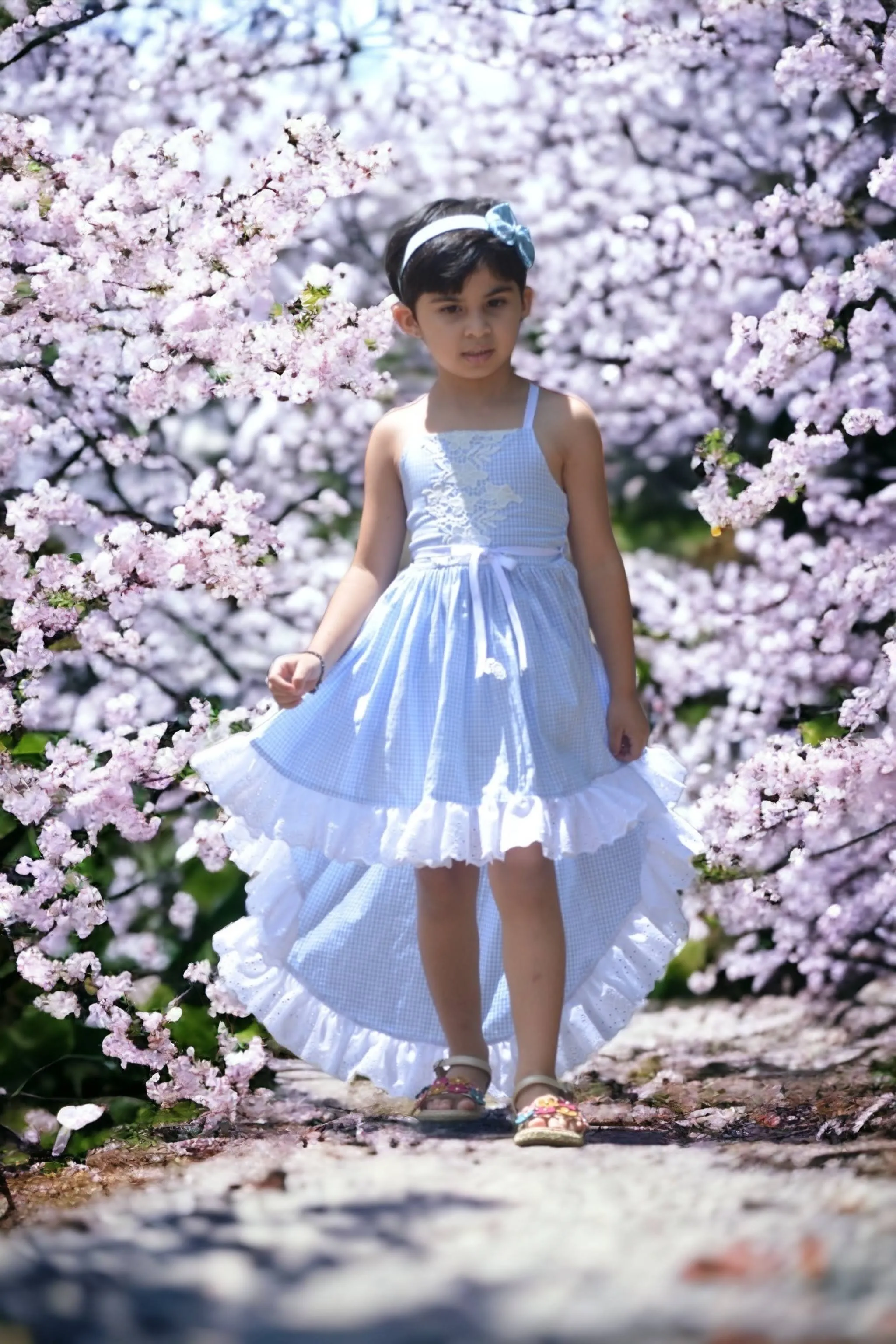 Wisteria Top & Dress