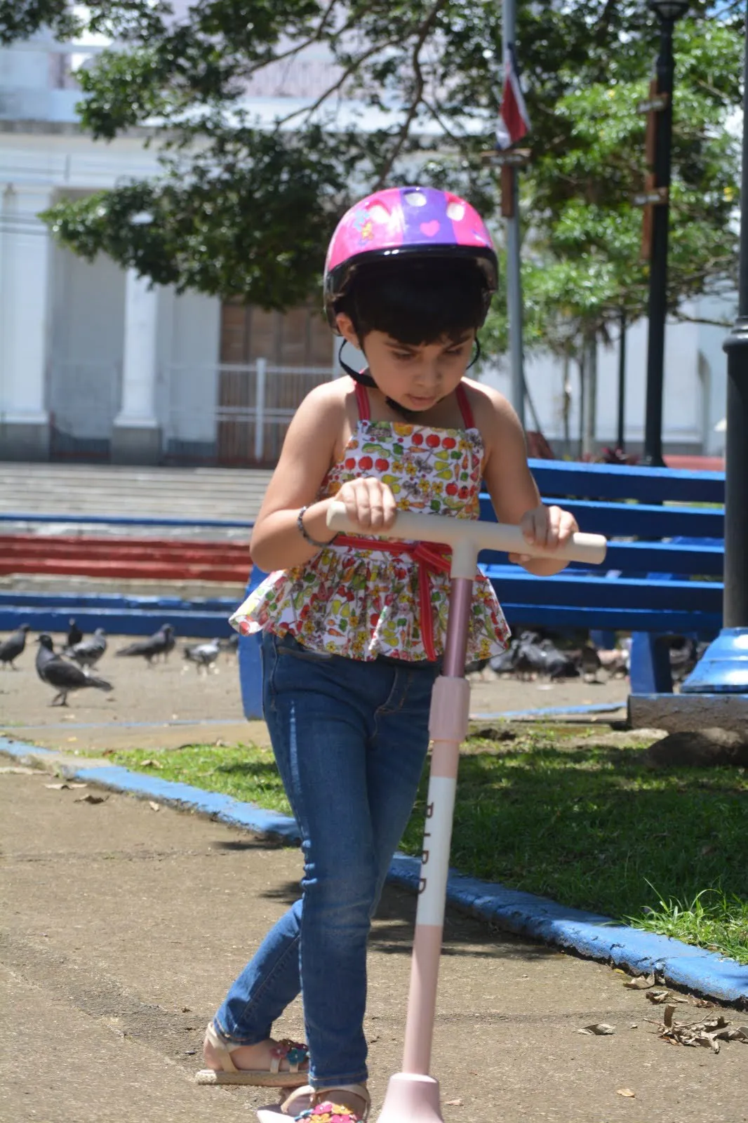 Wisteria Top & Dress